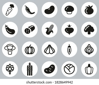 Iconos vegetales Círculo de diseño plano blanco y negro grande