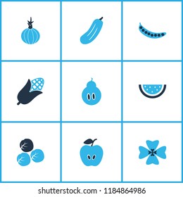 Vegetable icons colored set with apple, gherkin, watermelon and other vitamin elements. Isolated vector illustration vegetable icons.