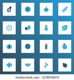 Vegetable icons colored set with barberry, clover, lemon and other orange elements. Isolated vector illustration vegetable icons.