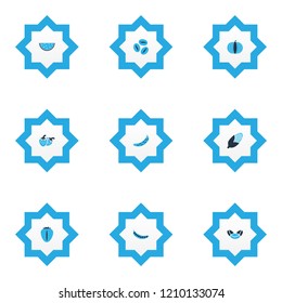 Vegetable icons colored set with cucumber, coffee bean, pumpkin and other coffee bean elements. Isolated vector illustration vegetable icons.