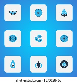 Vegetable icons colored set with fig, coffee bean, apricot and other peach elements. Isolated vector illustration vegetable icons.