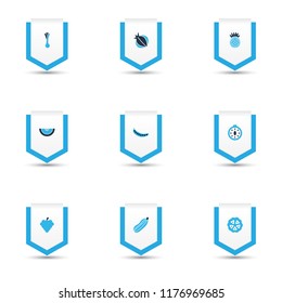 Vegetable icons colored set with leek, peas, clove and other grapes elements. Isolated vector illustration vegetable icons.
