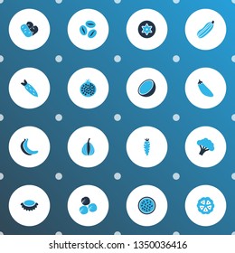 Vegetable icons colored set with lychees, zucchini, banana and other carrot elements. Isolated vector illustration vegetable icons.