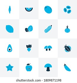 Vegetable icons colored set with mushroom, cantaloupe, zucchini and other caffeine elements. Isolated vector illustration vegetable icons.