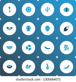 Vegetable icons colored set with parsley, leek, coffee bean and other kiwi elements. Isolated vector illustration vegetable icons.