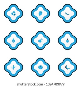 Vegetable icons colored set with peas, cactus, onion and other pear elements. Isolated vector illustration vegetable icons.