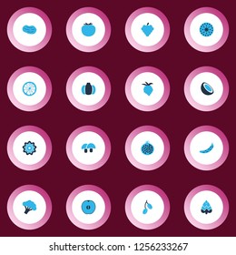 Vegetable icons colored set with plant, barberry, raspberry and other blackberry elements. Isolated vector illustration vegetable icons.