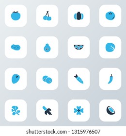 Vegetable icons colored set with potato, cocoanut, root vegetable and other pumpkin elements. Isolated vector illustration vegetable icons.