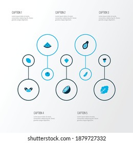 Vegetable icons colored set with turnip, citrus, orange and other pawpaw elements. Isolated vector illustration vegetable icons.