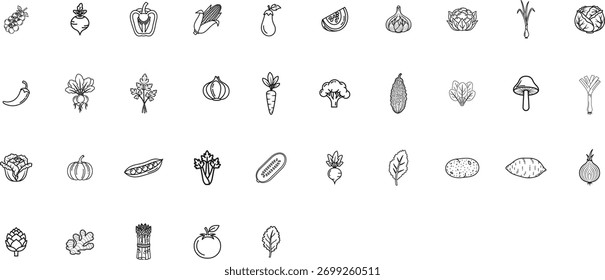 Conjunto de linhas de ícones vegetais. Alimentos orgânicos alho, cebola, pimentão, beterraba, pepino e muito mais. Vetor totalmente editável.	