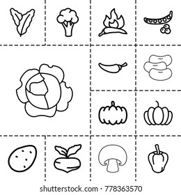 Vegetable icons. set of 13 editable outline vegetable icons such as pumpkin, potato, beet, peas, spinach, chili, pepper, cauliflower, mushroom, cabbage