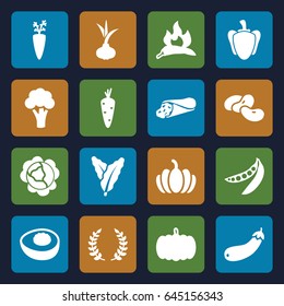 Vegetable icons set. set of 16 vegetable filled icons such as pumpkin, onion, carrot, cabbage, spinach, chili, cauliflower, bean, wrap sandwich, aubergine, pepper, peas