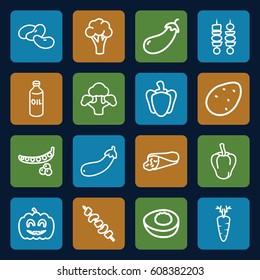Vegetable icons set. set of 16 vegetable outline icons such as potato, peas, pepper, eggplant, cauliflower, bean, oil, wrap sandwich, kebab, carrot, broccoli, aubergine