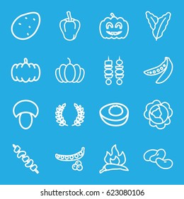 Vegetable icons set. set of 16 vegetable outline icons such as mushroom, pumpkin, potato, peas, cabbage, spinach, chili, pepper, bean, kebab, pumpkin haloween, avocado