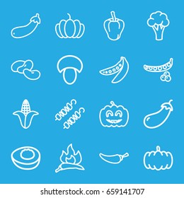Vegetable icons set. set of 16 vegetable outline icons such as mushroom, pumpkin, peas, chili, pepper, eggplant, cauliflower, corn, bean, aubergine, pumpkin haloween, avocado