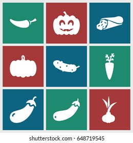 Vegetable icons set. set of 9 vegetable filled icons such as pumpkin, onion, eggplant, wrap sandwich, pepper, cucumber, aubergine, pumpkin haloween