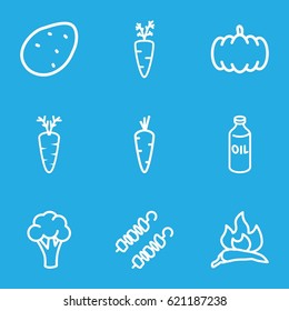 Vegetable icons set. set of 9 vegetable outline icons such as pumpkin, potato, carrot, chili, cauliflower, oil, kebab