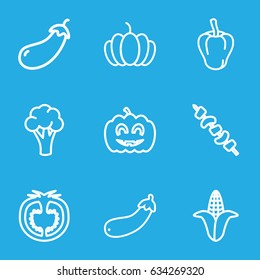 Vegetable icons set. set of 9 vegetable outline icons such as pepper, eggplant, cauliflower, corn, kebab, pumpkin, aubergine, tomato