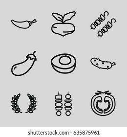 Vegetable icons set. set of 9 vegetable outline icons such as beet, eggplant, pepper, cucumber, tomato, kebab, avocado