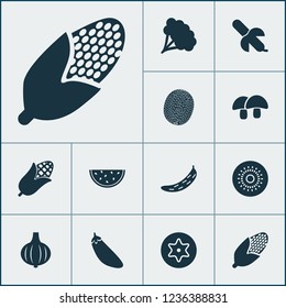 Vegetable icons set with broccoli, acorn, maize and other corn elements. Isolated vector illustration vegetable icons.