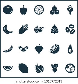 Vegetable icons set with citrus, orange, root and other grapes elements. Isolated vector illustration vegetable icons.