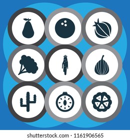 Vegetable icons set with delicious, broccoli, natural and other parsnip elements. Isolated vector illustration vegetable icons.