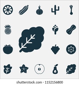 Vegetable icons set with mandarin, peanut, cactus plant elements. Isolated vector illustration vegetable icons.