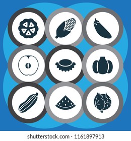 Vegetable icons set with melon, maize, lychees and other pumpkin elements. Isolated vector illustration vegetable icons.
