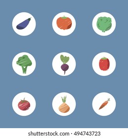 Vegetable icons set. Pumpkin, bell pepper, eggplant and broccoli tomato, onion, beet, carrot in abstract style. Colored vegetables icons on the blue colored background.