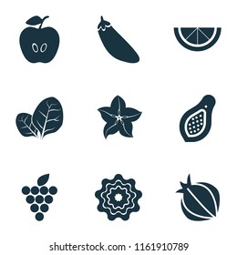 Vegetable icons set with sorrel, pattionson, clove and other herb elements. Isolated vector illustration vegetable icons.
