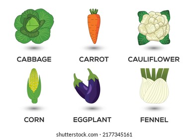 Vegetable icons set vector illustration. Collection of farm products for restaurant menus.