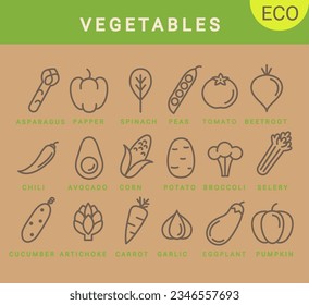 Vegetable icons in simple minimal style.Carrot,asparagus and cucumber,garlic and peas,selery and corn,pumpkin, pepper and potato,tomato,avocado and spinach,broccoli, artichoke,eggplant,chili symbols.