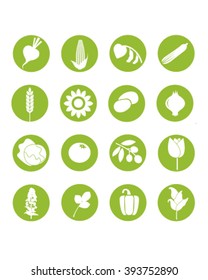 Vegetable icons: vector set of vegetable pictograms