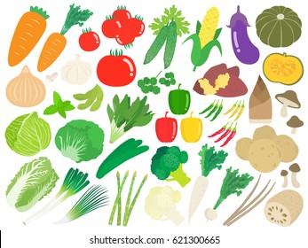 Vegetable illustration