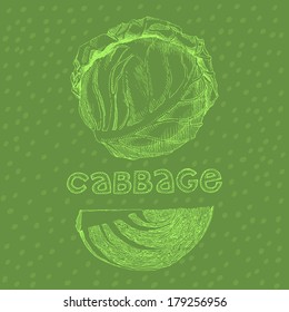 Vegetable illustration - cabbage