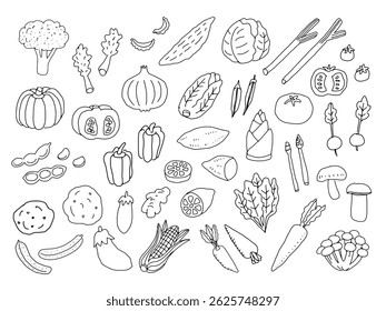 Coleção de ilustração vegetal. Desenhos de linha monocromáticos.