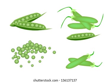 Vegetable, An Illustration Collection of Various Style Fresh Green Peas and Pea Pods Isolated on White Background