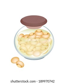 Vegetable, Illustration of Delicious Marinaded Champignons or Preserved Champignons in A Glass Jar Isolated on White Background. 