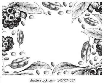 Vegetable, Illustration Frame of Hand Drawn Sketch Red Guarana or Paullinia Cupana Fruits and Soybeans Isolated on White Background.