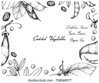 Vegetable, Illustration Frame of Hand Drawn Sketch Fresh Podded Vegetables Isolated on White Background.