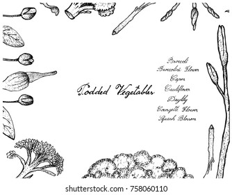 Vegetable, Illustration Frame of Hand Drawn Sketch Fresh Podded Vegetables Isolated on White Background.