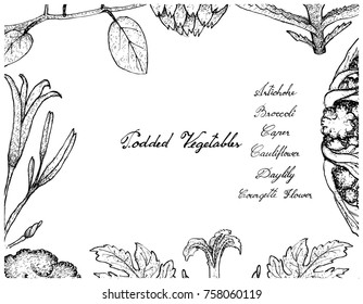 Vegetable, Illustration Frame of Hand Drawn Sketch Fresh Podded Vegetables Isolated on White Background.