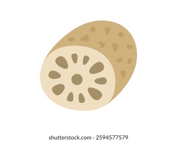 Vegetable, illustration of lotus root icon.