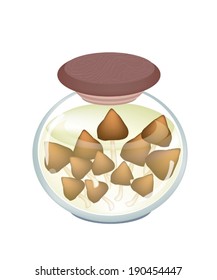 Vegetable, Illustration of Marinated Termite Mushrooms or Preserved Termitomyces Fuliginosus Heim in A Glass Jar Isolated on White Background. 