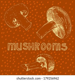 Vegetable illustration - mushrooms