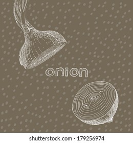 Vegetable illustration - onion