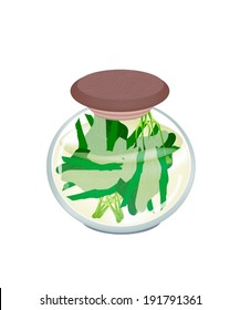 Vegetable, An Illustration of Pickled Chinese Kale or Chinese Broccoli in Brine of Vinegar and Salt in A Glass Jar Isolated on White Background. 