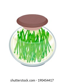 Vegetable, An Illustration of Pickled Green Beans or Phaseolus Vulgaris in Brine of Vinegar and Salt in A Glass Jar Isolated on White Background. 