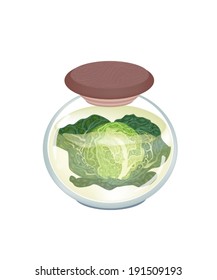 Vegetable, An Illustration of Pickled Savoy Cabbage in Brine of Vinegar and Salt in A Glass Jar Isolated on White Background. 