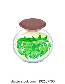 Vegetable, An Illustration of Pickled Winged Bean, Goa Bean or Four Angled Bean in Brine of Vinegar and Salt in A Glass Jar Isolated on White Background. 